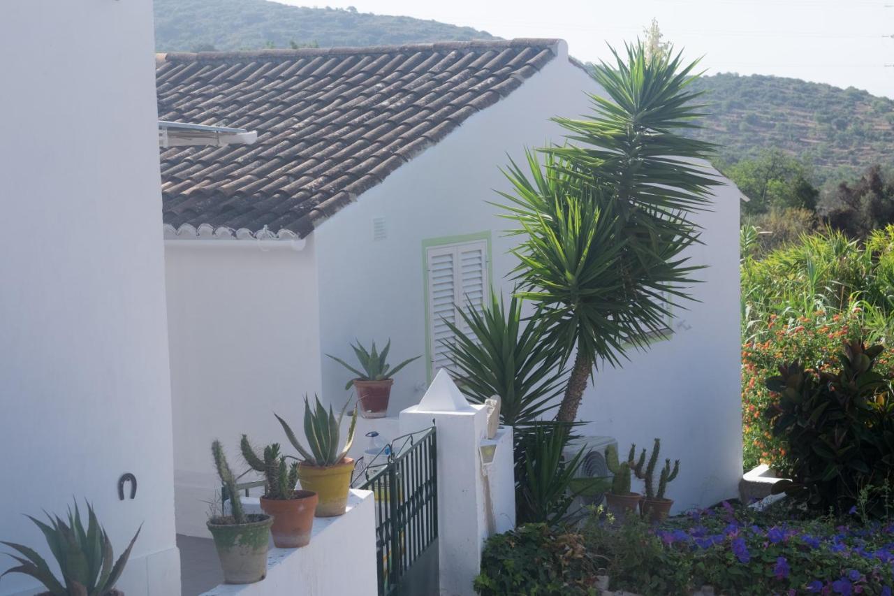 Maison d'hôtes Casa Da Cabeça Azinheiro