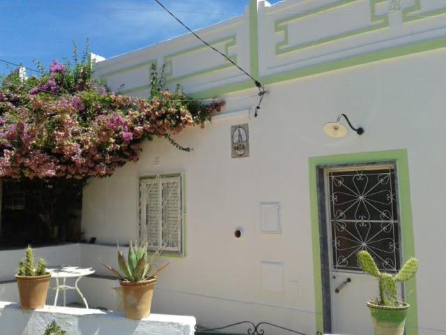 Casa Da Cabeça Azinheiro