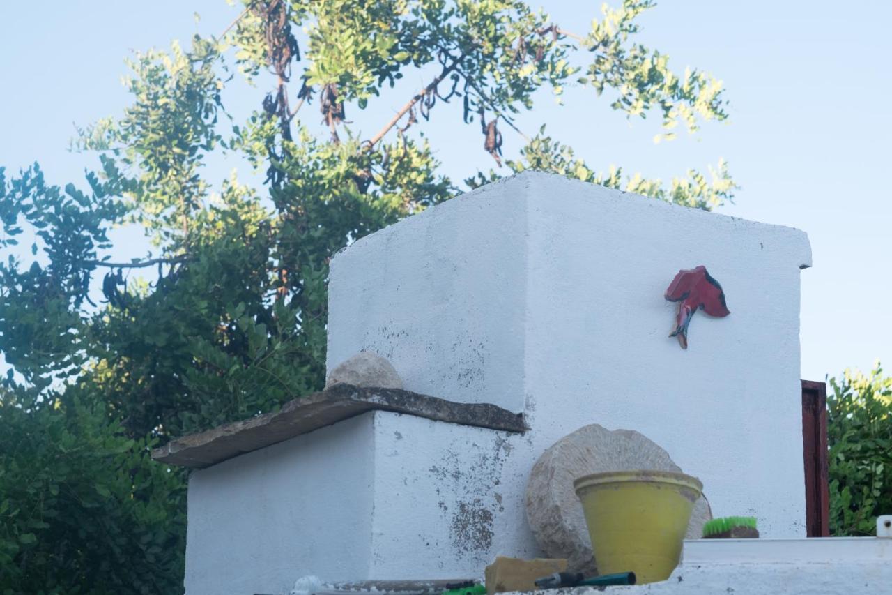 Casa Da Cabeça * Azinheiro